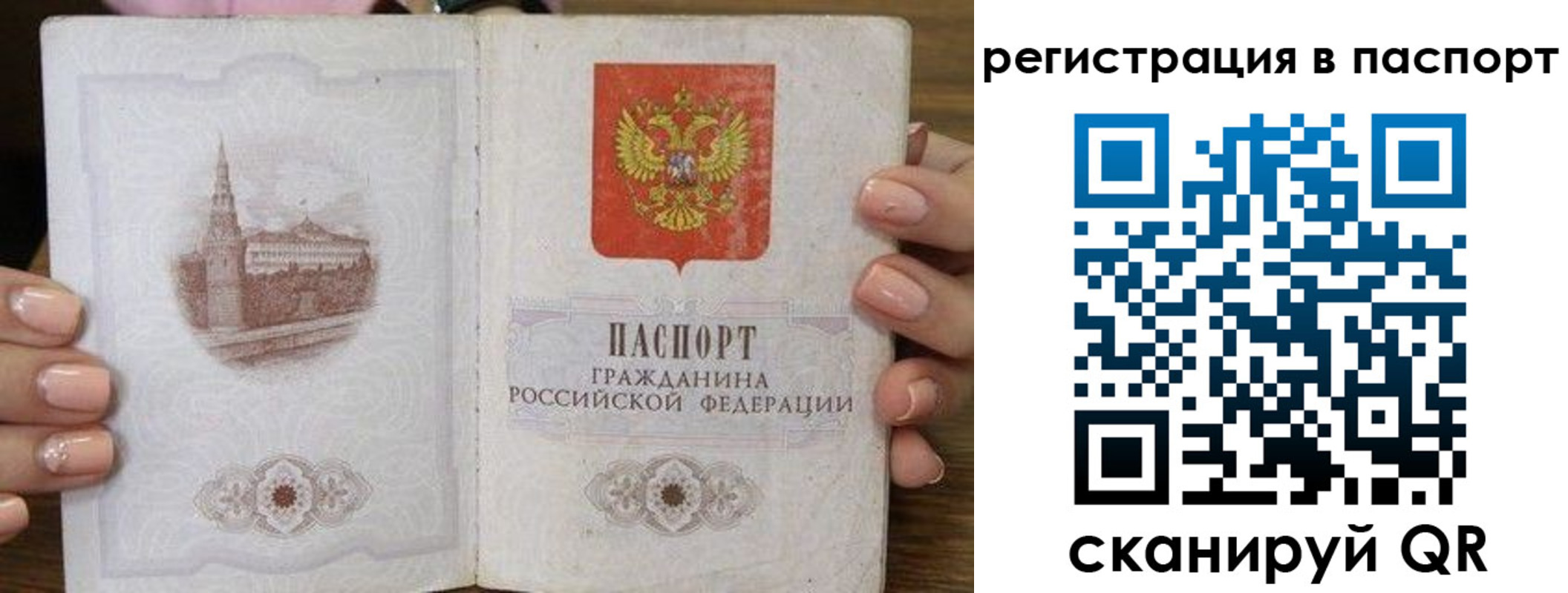 временная регистрация адрес в Мончегорске